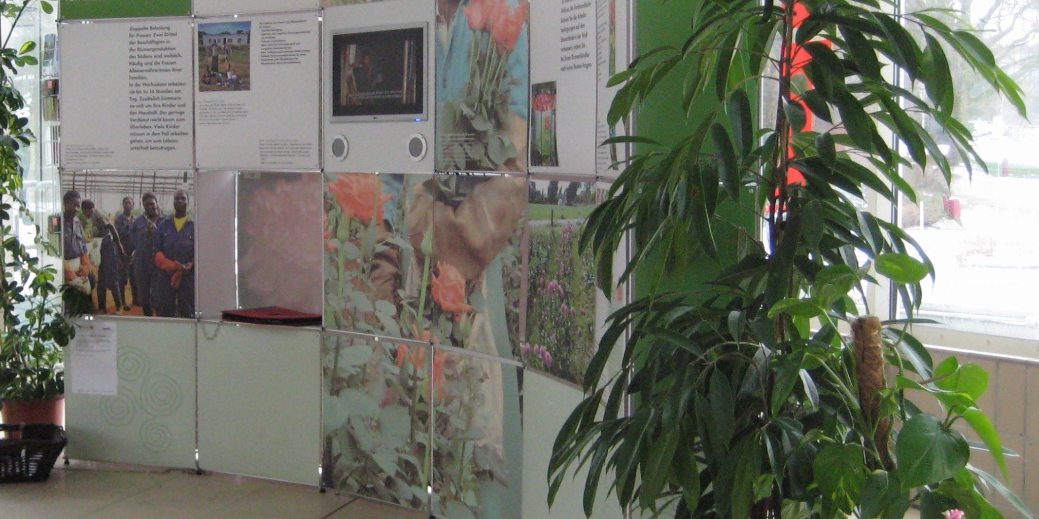 FairFlowers_Aufsteller_Teaser_Vamos eV