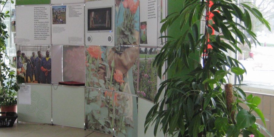 FairFlowers_Aufsteller_Teaser_Vamos eV