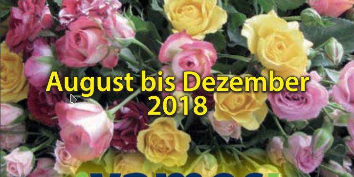 Cover Veranstaltungskalender 2018/2_Vamos eV