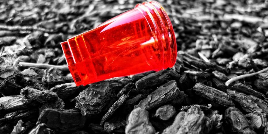 Plastikbecher_Vamos eV