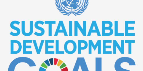 Das Logo der Weltnachhaltigkeitsziele