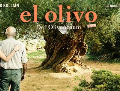 der_olivenbaum Ein Olivenbaum mit knorrigem Stamm