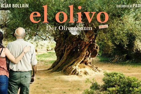 Ein Olivenbaum mit knorrigem Stamm