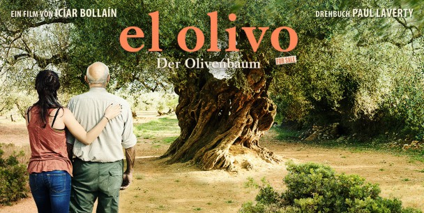 Ein Olivenbaum mit knorrigem Stamm