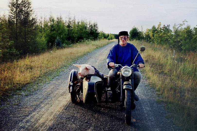 Die Letzte Sau Banner