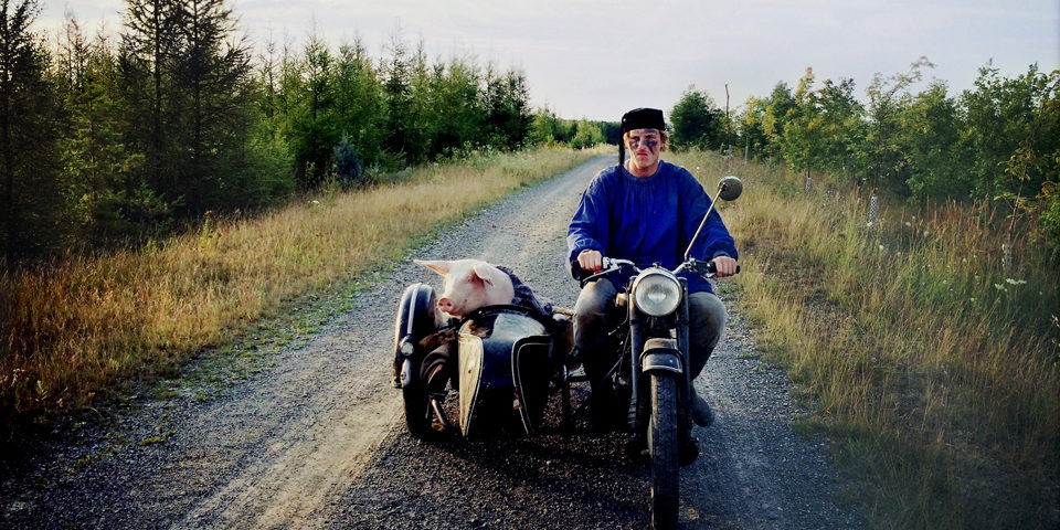 LetzteSau_1 Die Letzte Sau Banner