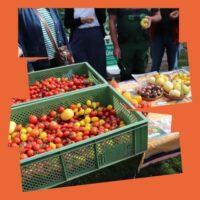 Tomatentasting
