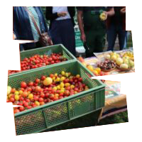 Tomatentasting-200x200-t